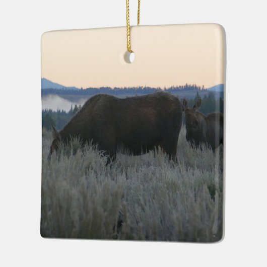 Moose Grazing op zonsopgang bij Grand Teton Keramisch Ornament (Links)