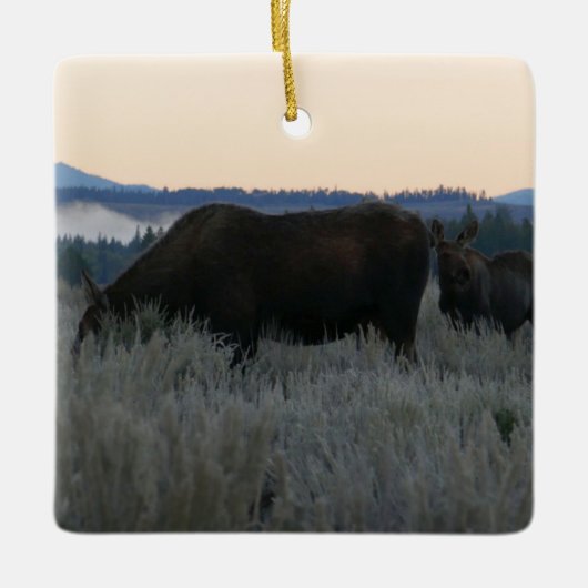 Moose Grazing op zonsopgang bij Grand Teton Keramisch Ornament (Voorkant)