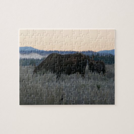 Moose Grazing op zonsopgang bij Grand Teton Legpuzzel (Horizontaal)