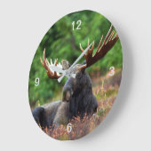 Moose Grote Klok (Hoek)