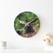 Moose Grote Klok (Huis)