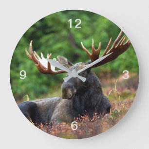 Moose Grote Klok