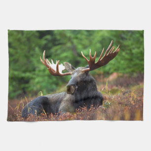 Moose Hand Towel Theedoek