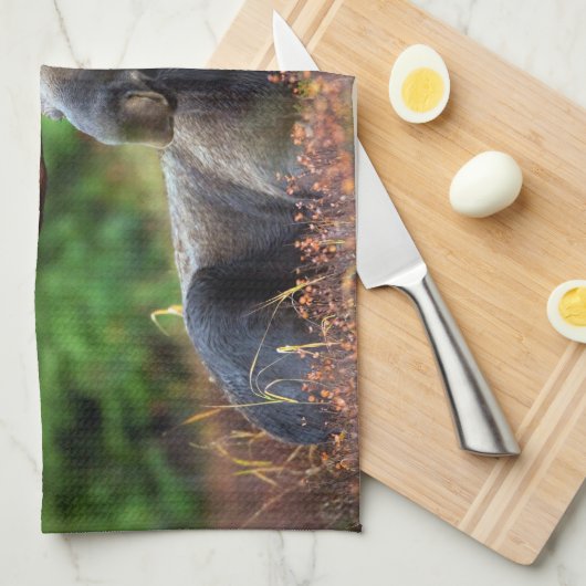 Moose handdoek (Quarter Fold)