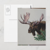 Moose Head Portrait Briefkaart (Voorkant / Achterkant)