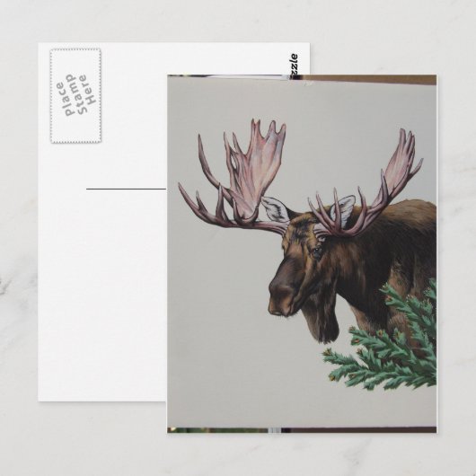 Moose Head Portrait Briefkaart (Voorkant / Achterkant)