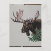 Moose Head Portrait Briefkaart (Voorkant)