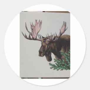 Moose Head Portret Ronde Sticker