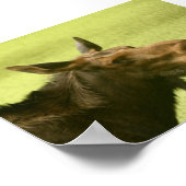 Moose heeft Cake gezegd Poster (Hoek)