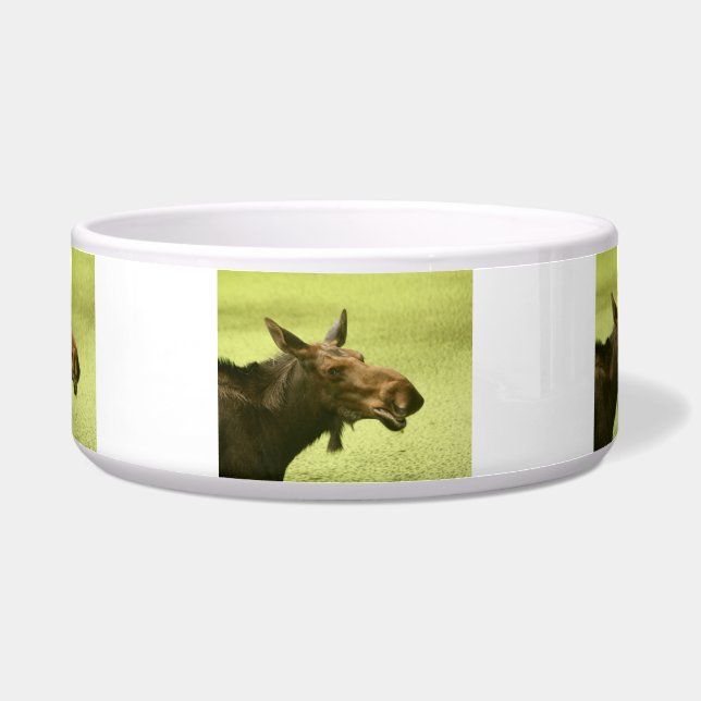 Moose heeft Cake gezegd Voerbakje (Voorkant)