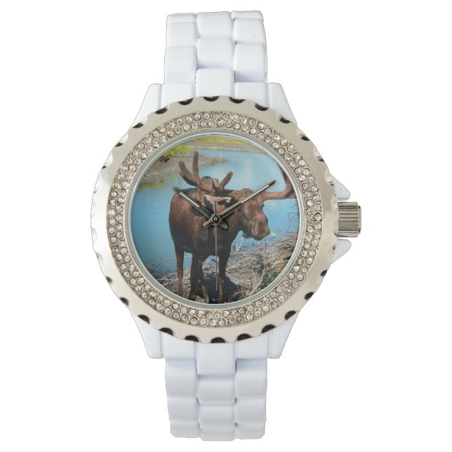 Moose Horloge (Voorkant)