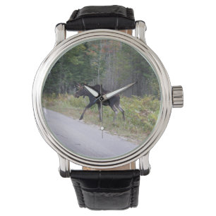 Moose Horloge