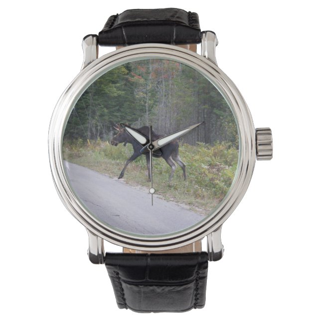 Moose Horloge (Voorkant)