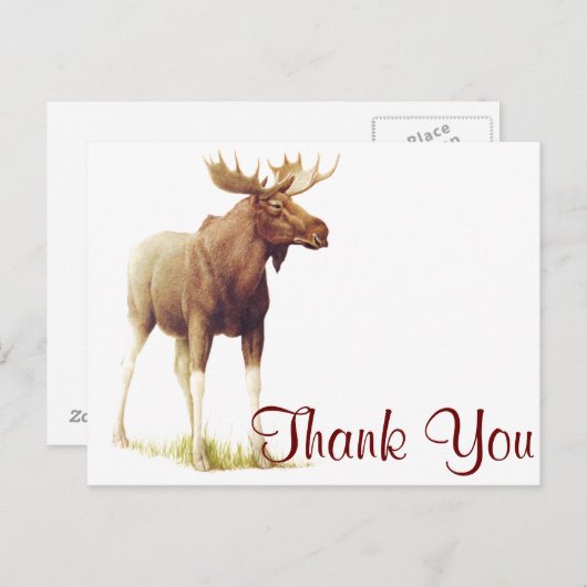  Moose Illustration, Animal Drawing Briefkaart (Voorkant / Achterkant)