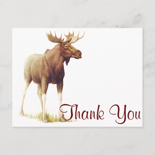  Moose Illustration, Animal Drawing Briefkaart (Voorkant)