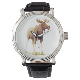  Moose Illustration, Animal Drawing Horloge