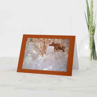 Moose in Alaska Blank Greeting Card Kaart