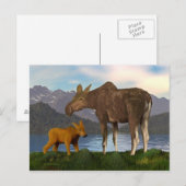 Moose in de Meadow Briefkaart (Voorkant / Achterkant)