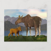 Moose in de Meadow Briefkaart (Voorkant)