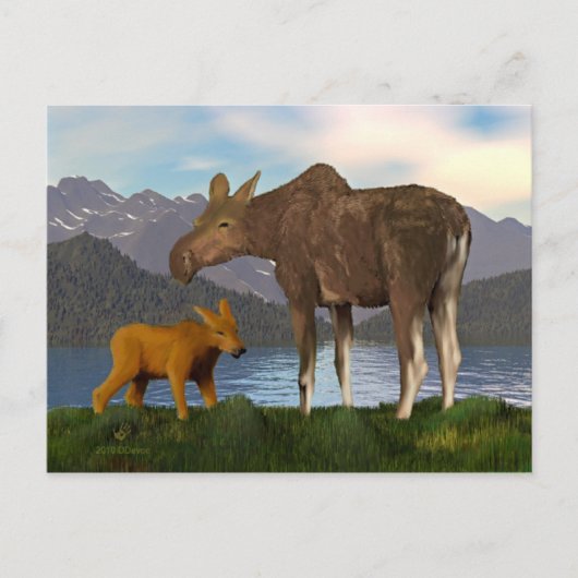 Moose in de Meadow Briefkaart (Voorkant)