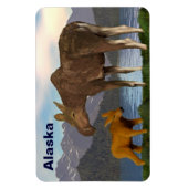 Moose in de Meadow Magneet (Verticaal)