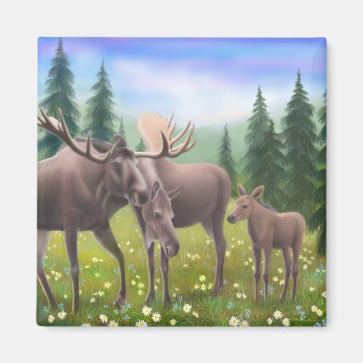 Moose in een noordelijk bos magneet (Voorkant)