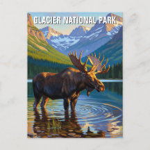 Moose in Glacier National Park Reizen