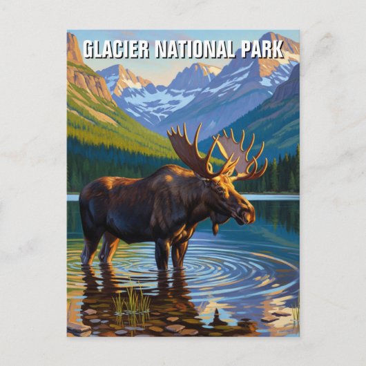 Moose in Glacier National Park Reizen Briefkaart (Voorkant)