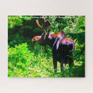 Moose in Grand Tetons. kerstcadeautjes Legpuzzel