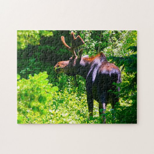 Moose in Grand Tetons. Legpuzzel (Horizontaal)