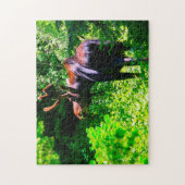 Moose in Grand Tetons. Legpuzzel (Verticaal)