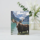 Moose in het Banff National Park in Canada Briefkaart (Staand voorkant)