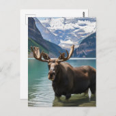 Moose in het Banff National Park in Canada Briefkaart (Voorkant / Achterkant)
