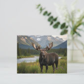 Moose in het Banff National Park in Canada Briefkaart (Staand voorkant)