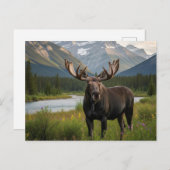 Moose in het Banff National Park in Canada Briefkaart (Voorkant / Achterkant)