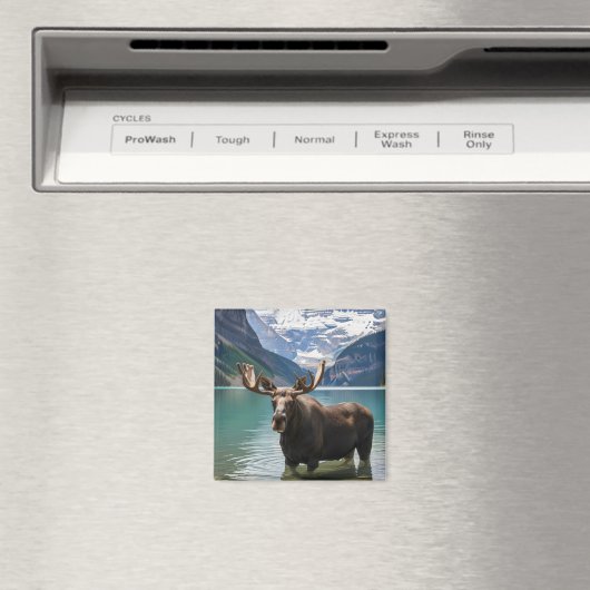 Moose in het Banff National Park in Canada Magneet (Insitu (Vaatwasser))