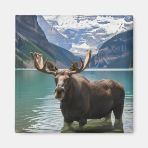 Moose in het Banff National Park in Canada Magneet