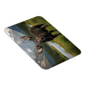 Moose in het Banff National Park in Canada Magneet (Rechterzijde)