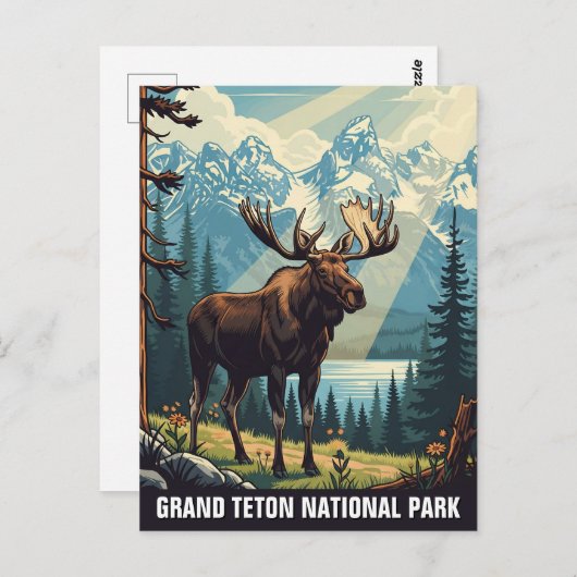  Moose in het Grand Teton National Park Briefkaart (Voorkant / Achterkant)