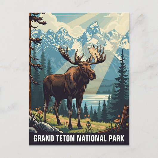 Moose in het Grand Teton National Park Briefkaart (Voorkant)