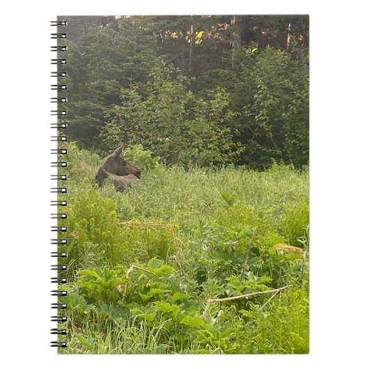 Moose in het Grass Notitieboek (Voorkant)