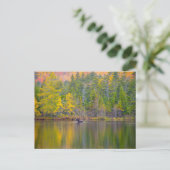 Moose in het meer briefkaart (Staand voorkant)