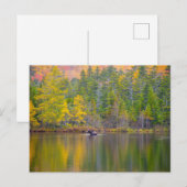 Moose in het meer briefkaart (Voorkant / Achterkant)