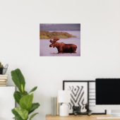 Moose in Lake Poster (Thuiskantoor)