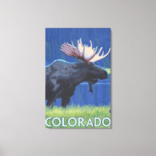 Moose in MoonlightColorado Canvas Afdruk (Voorkant)