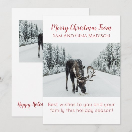 Moose In Sneeuwwildernis Kerst Kaart (Voorkant / Achterkant)