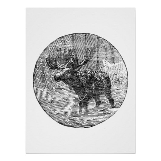 Moose in Snow Emblem Poster (Voorkant)