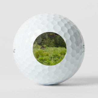 Moose in the Grass Golf Ball - AK Wildlife Design Golfballen