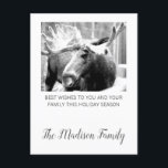 Moose In Winter Snow Christmas Greeting Feestdagenkaart<br><div class="desc">Mose in snow fotograph Christmas foliday greeting with your family name added in a trendy script typography. Personalize with your familiy name.</div>