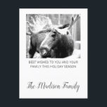 Moose In Winter Snow Christmas Greeting Feestdagenkaart<br><div class="desc">Mose in snow fotograph Christmas foliday greeting with your family name added in a trendy script typography. Personalize with your familiy name.</div>